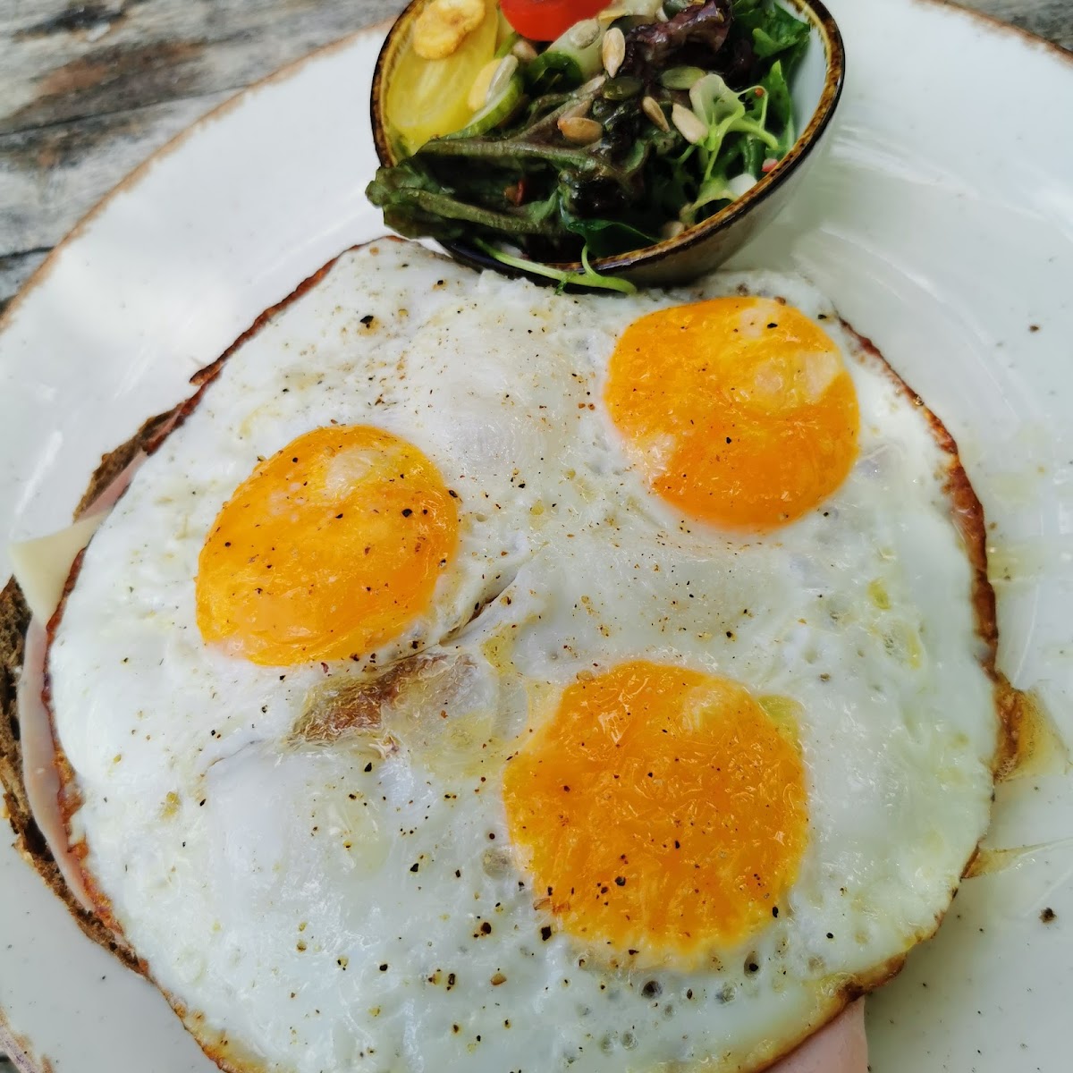 De Tramhalte Maastricht-10