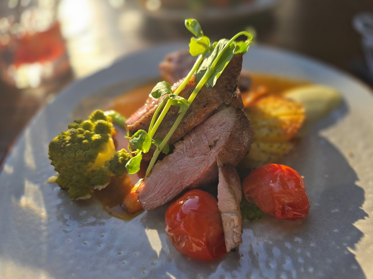 De Tramhalte Maastricht-3